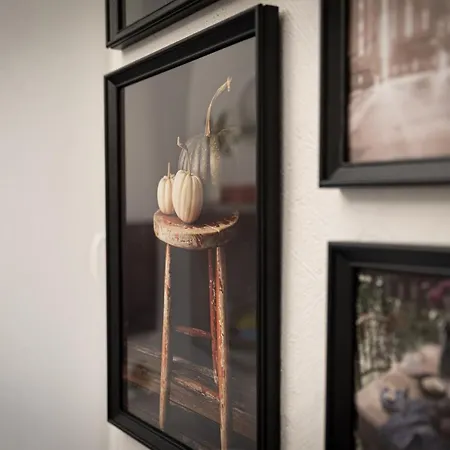 Lägenhet Dandelion Gertrudes Riga